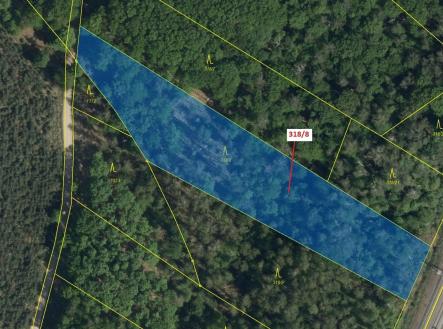 Prodej pozemku, les, 5 317 m²