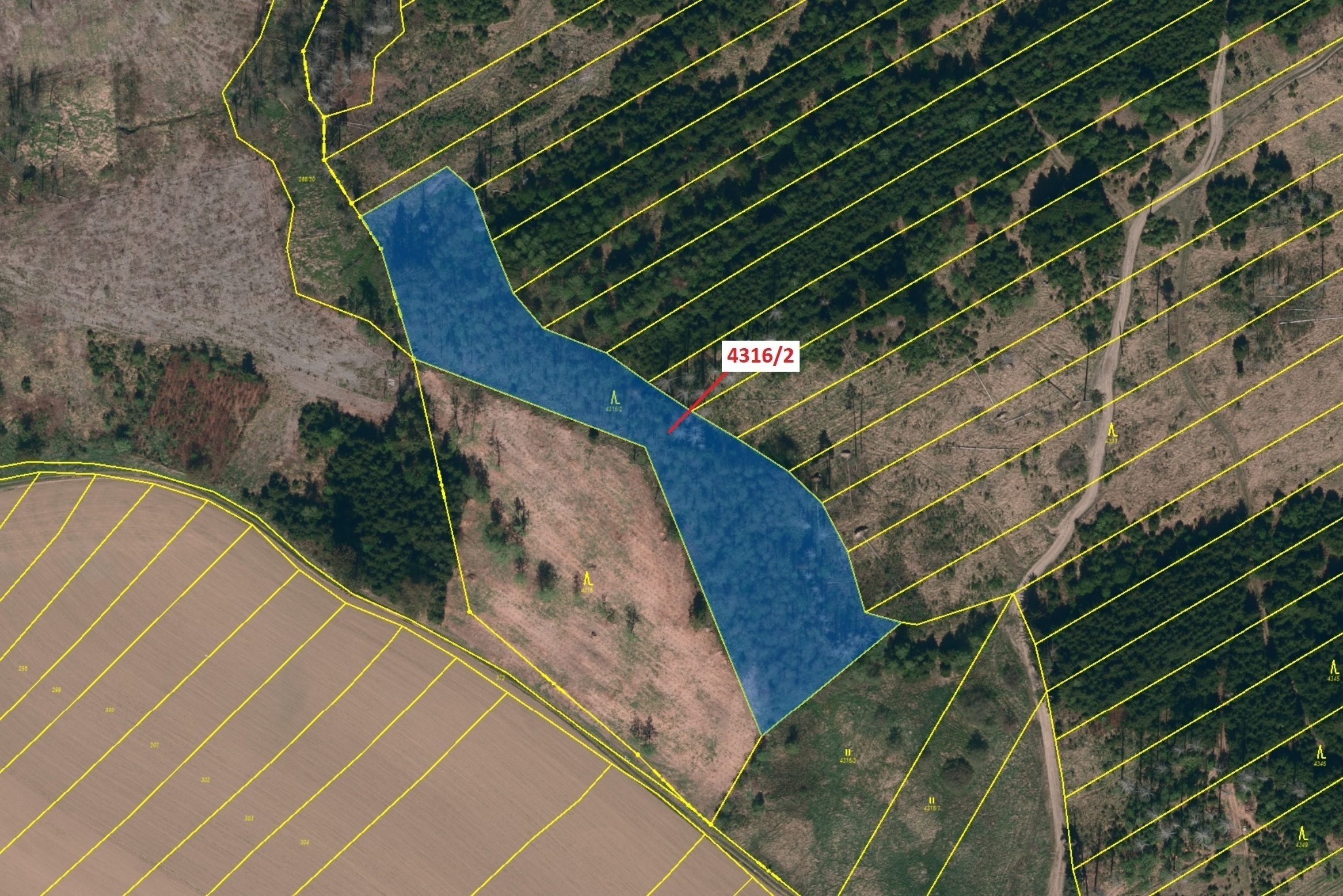 Lesní pozemek o výměře 7085 m2, podíl 1/1, katastrální území Opatov na Moravě, obec Opatov, obec s r