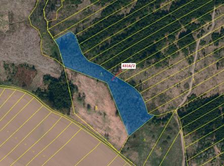 Prodej pozemku, les, 7 085 m²