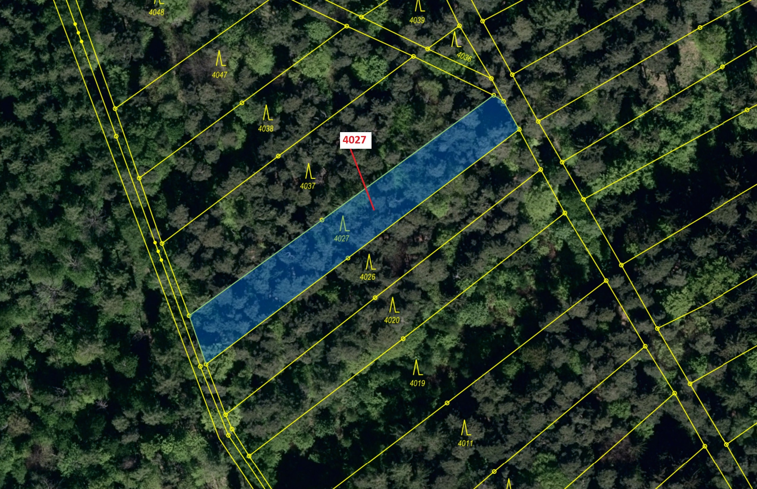 Lesní pozemek o výměře 1282 m2, podíl 1/1, katastrální území Pitín, obec Pitín, obec s rozšířenou pů