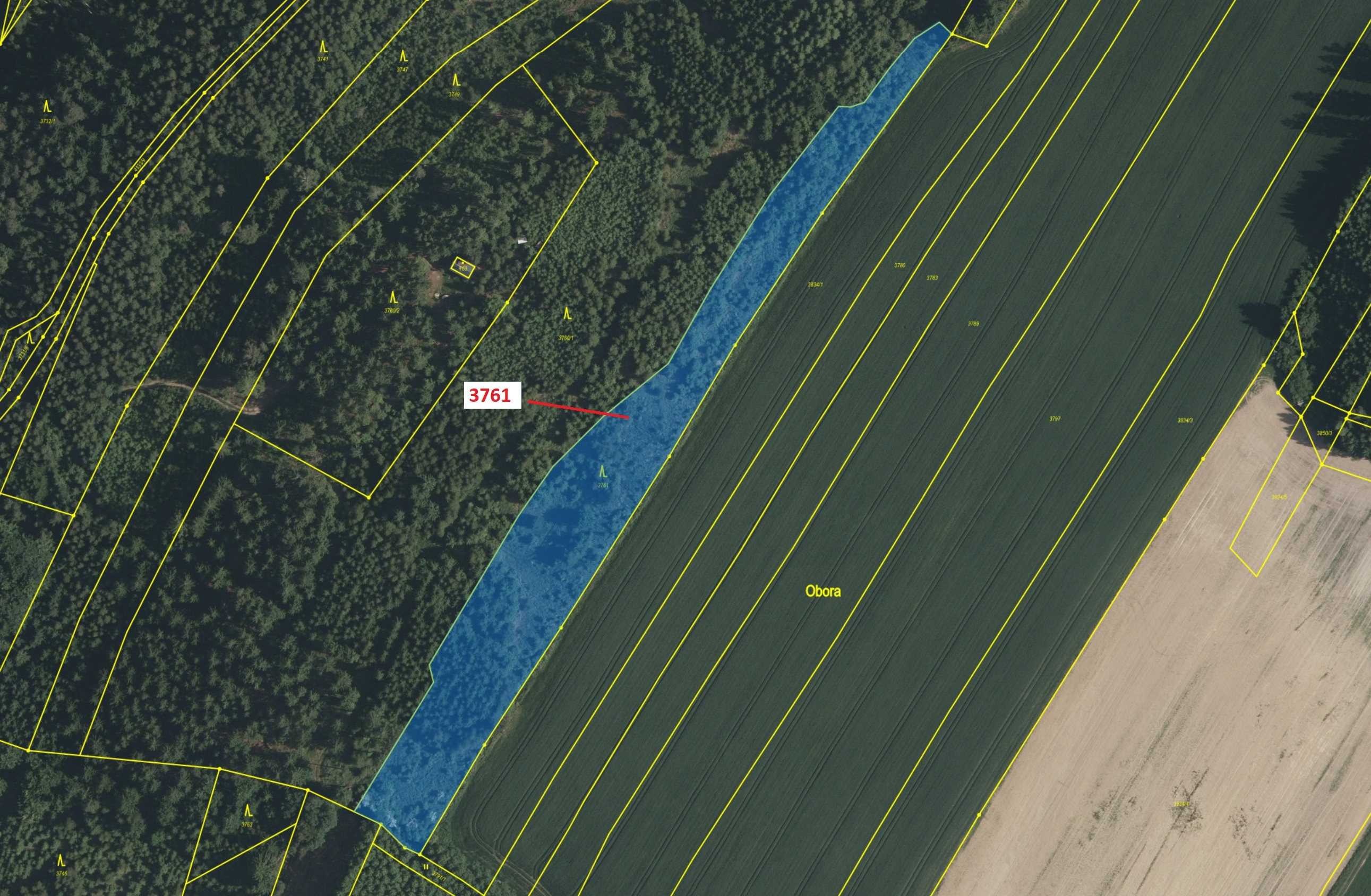 Lesní pozemek o výměře 9243 m2, podíl 1/1, katastrální území Strmilov, obec Strmilov, obec s rozšíře