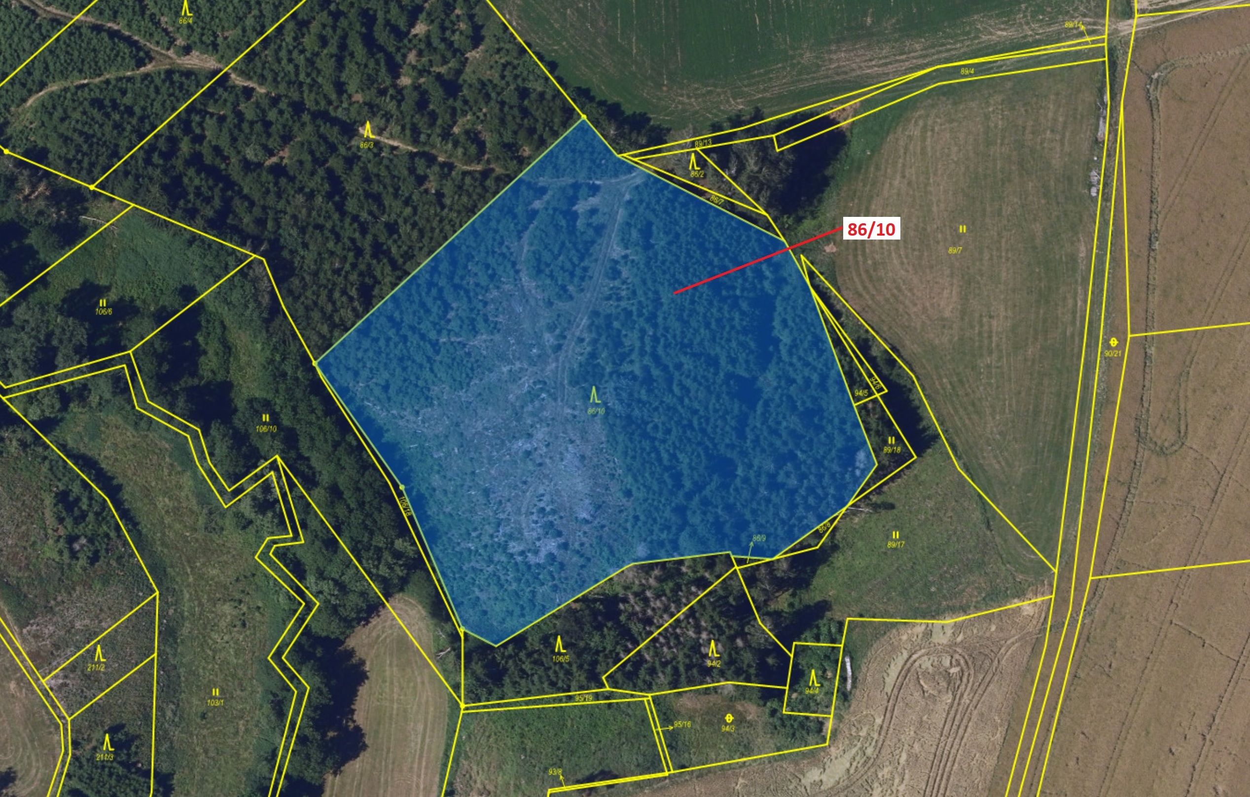 Lesní pozemek o výměře 12 727 m2, podíl 1/1, katastrální území Macourov, obec Žižkovo Pole, obec s r