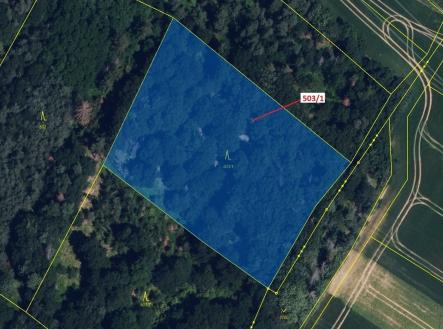 Prodej pozemku, les, 7 049 m²