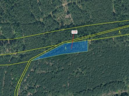 Prodej pozemku, les, 1 636 m²