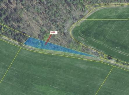 Prodej pozemku, les, 953 m²