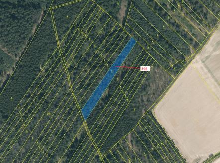 Prodej pozemku, les, 3 832 m²