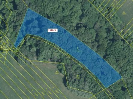 Prodej pozemku, les, 5 461 m²