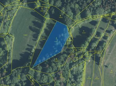 Prodej pozemku, les, 2 322 m²