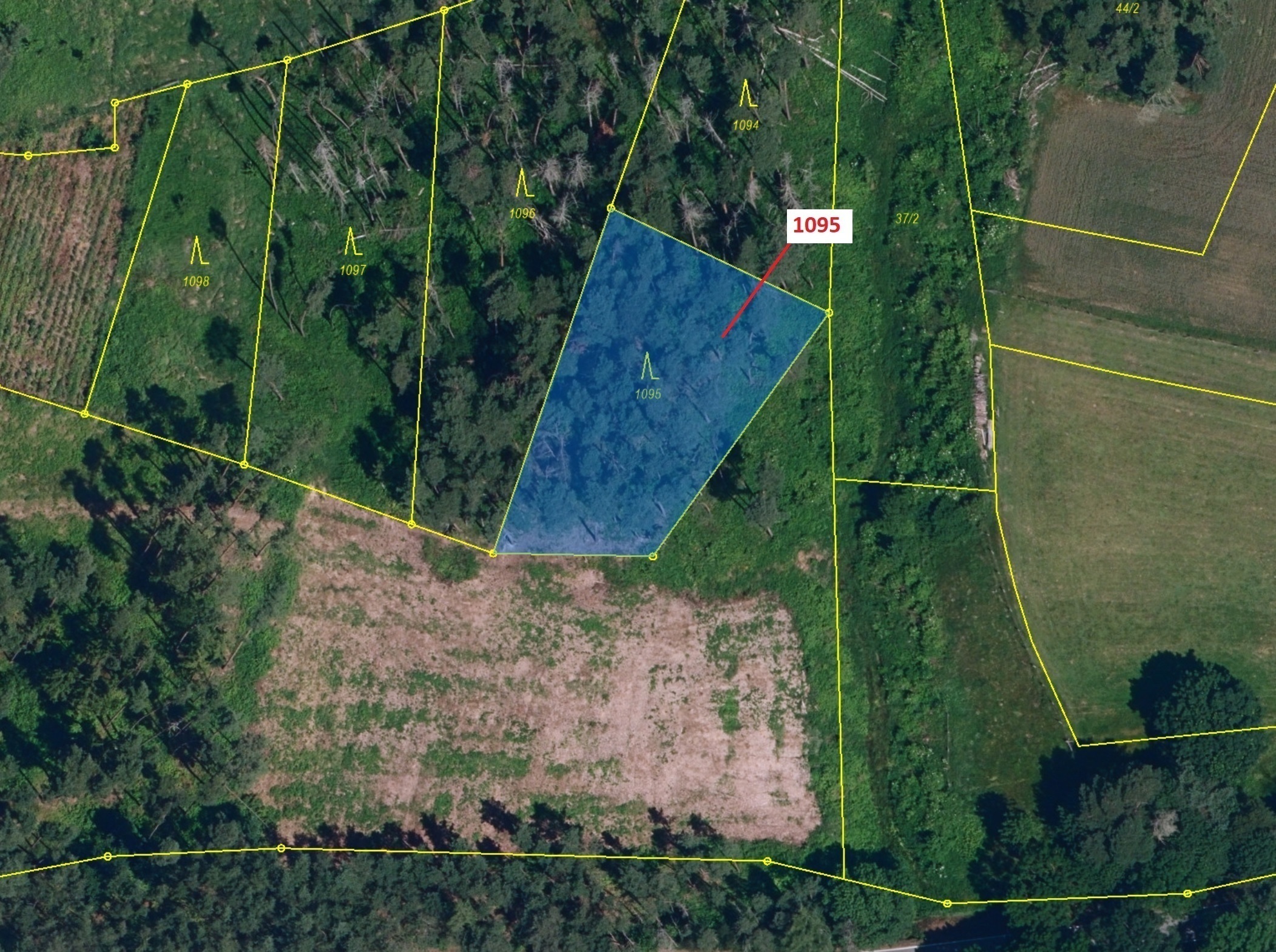 Lesní pozemek o výměře 1427 m2, podíl 1/1, katastrální území Mladoňovice na Moravě, obec Mladoňovice