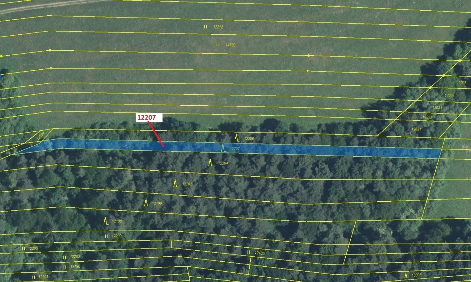 Lesní pozemek o výměře 1163 m2, podíl 1/1, katastrální území Strání, obec Strání, obec s rozšířenou 
