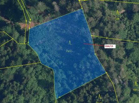 Prodej pozemku, les, 3 821 m²