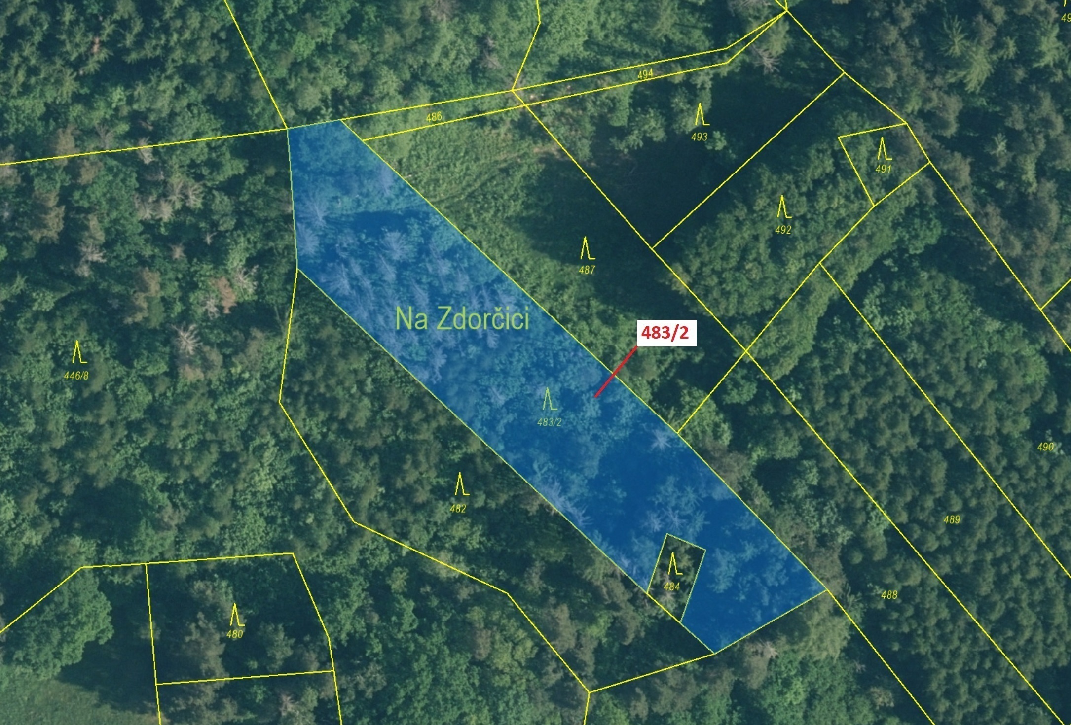 Lesní pozemek o výměře 2895 m2, podíl 1/1, katastrální území Zavlekov, obec Zavlekov, obec s rozšíře