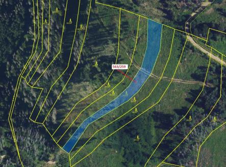 Prodej pozemku, les, 2 318 m²