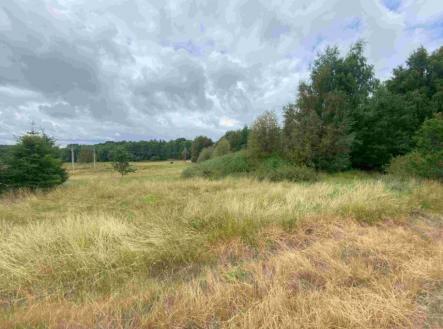 Prodej pozemku, trvalý travní porost, 2 675 m²