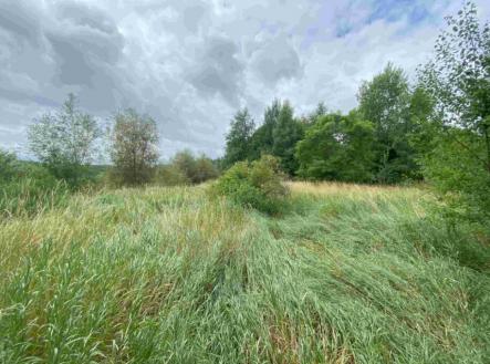 Prodej pozemku, trvalý travní porost, 2 675 m²