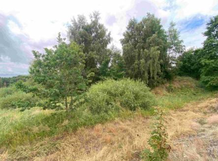 Prodej pozemku, trvalý travní porost, 2 675 m²