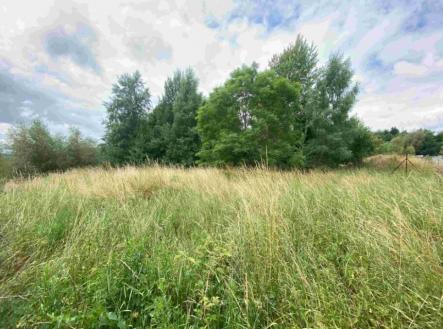 Prodej pozemku, trvalý travní porost, 2 675 m²