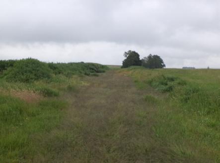 Prodej pozemku, ostatní, 4 685 m²