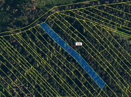 Prodej pozemku, les, 1 957 m²