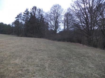 Prodej pozemku, zemědělská půda, 6 625 m²