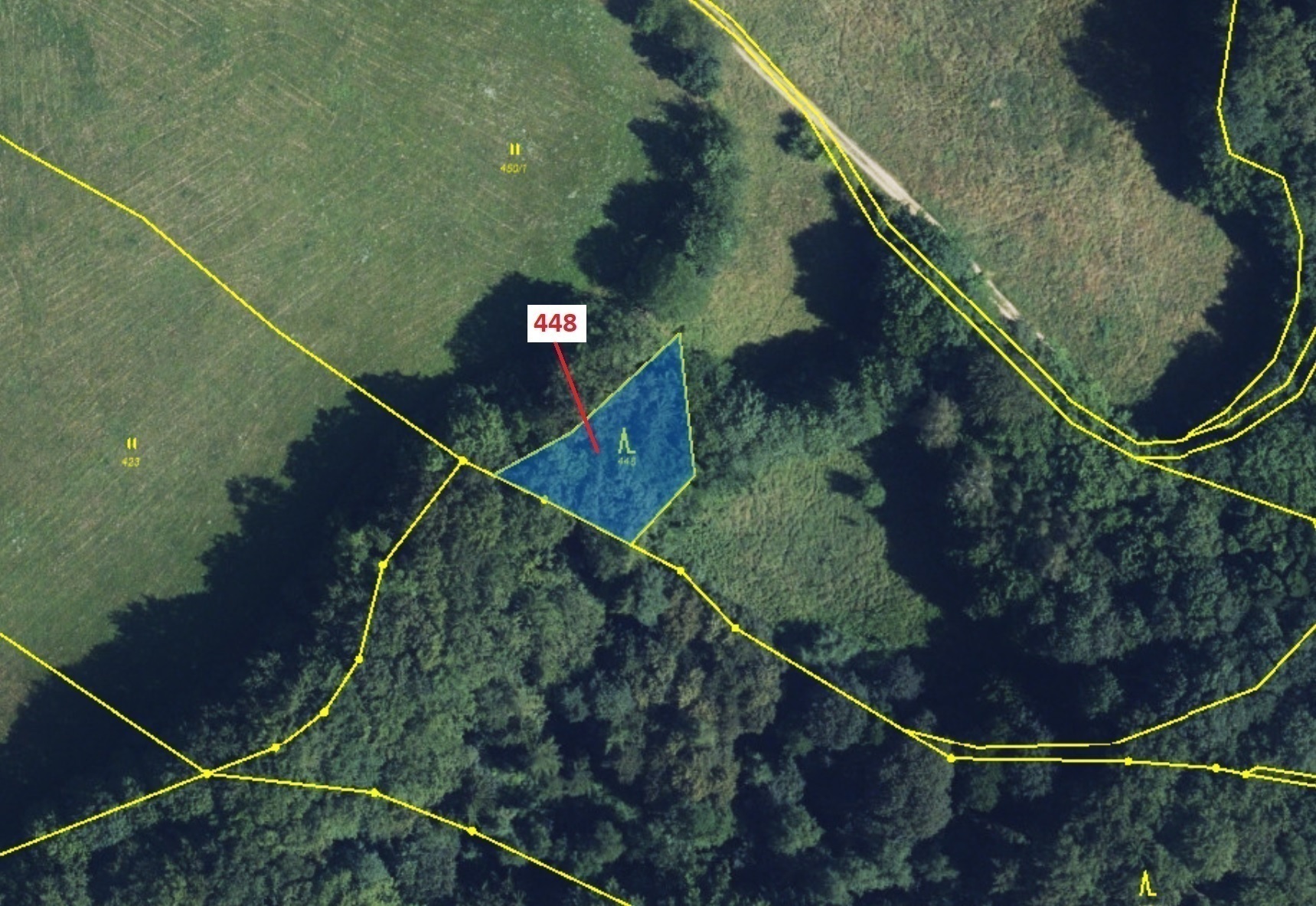 Lesní pozemek o výměře 586 m2, podíl 1/1, katastrální území Bohdalov u Městečka Trnávky, obec Městeč