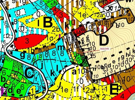 Prodej pozemku, les, 1 009 m²