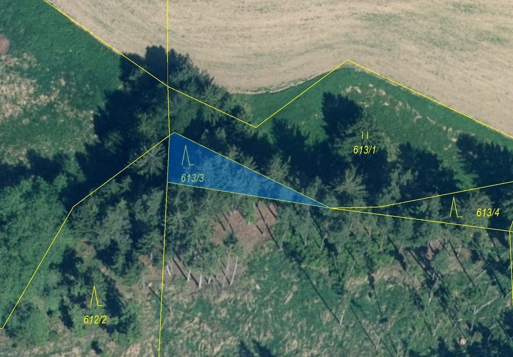 Lesní pozemek o výměře 180 m2, podíl 1/1, katastrální území Záboří u Blatné, obec Záboří, obec s roz