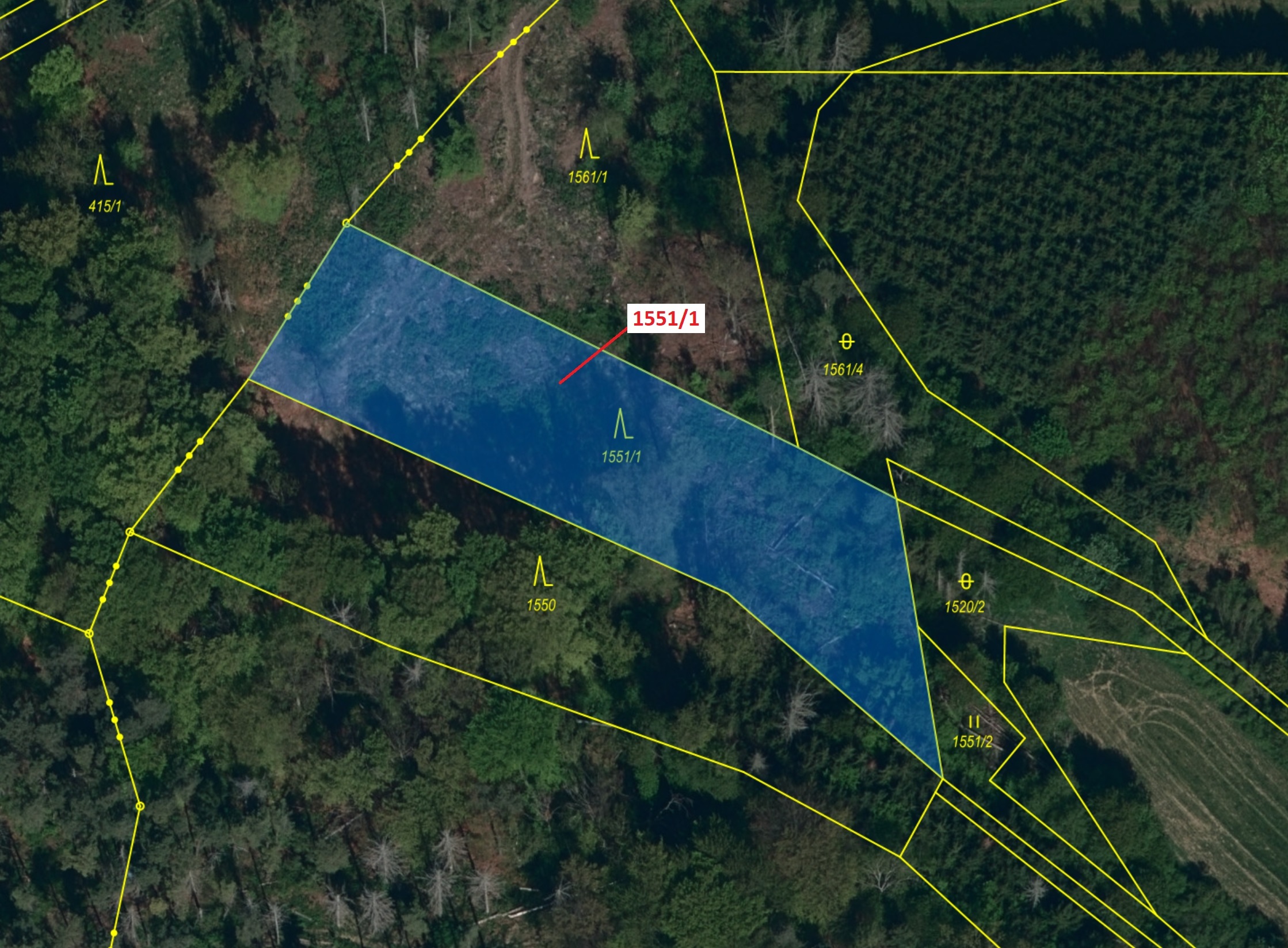 Lesní pozemek o výměře 2478 m2, podíl 1/1, katastrální území Přibyslavice nad Jihlavou, obec Přibysl