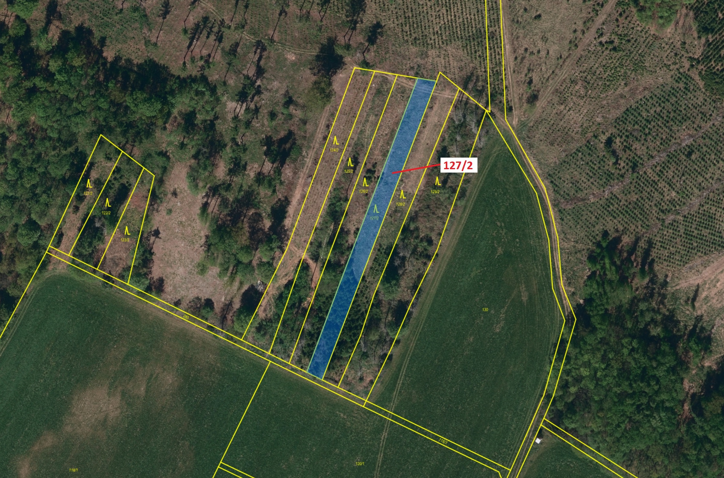 Lesní pozemek o výměře 1615 m2, podíl 1/1, katastrální území Cidlina na Moravě, obec Cidlina, obec s