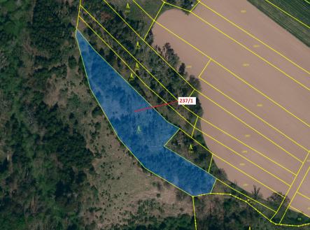 Prodej pozemku, les, 5 885 m²