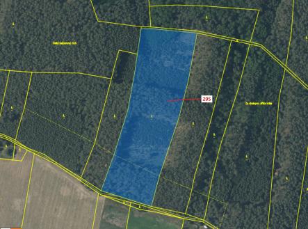 Prodej pozemku, les, 33 642 m²