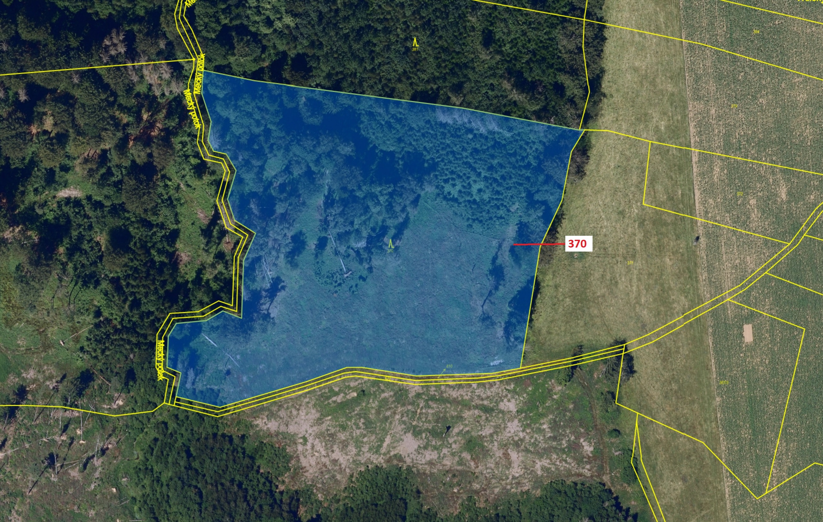 Lesní pozemek o výměře 24 540 m2, podíl 1/1, katastrální území Libkov u Nasavrk, obec Libkov, obec s