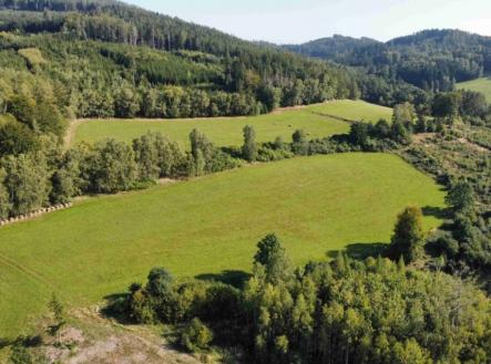 Prodej pozemku, trvalý travní porost, 4 212 m²