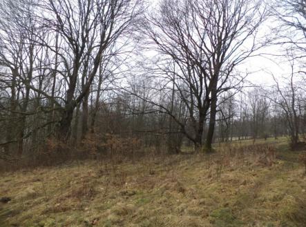 Prodej pozemku, ostatní, 5 161 m²