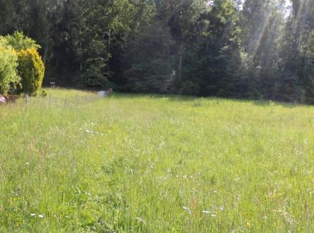 Prodej pozemku, trvalý travní porost, 4 634 m²