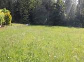 Prodej pozemku, trvalý travní porost, 4 634 m²