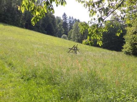 Prodej pozemku, trvalý travní porost, 4 634 m²