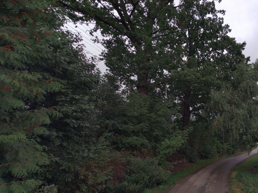 Pozemek o velikosti 1627m2, Svinišťany