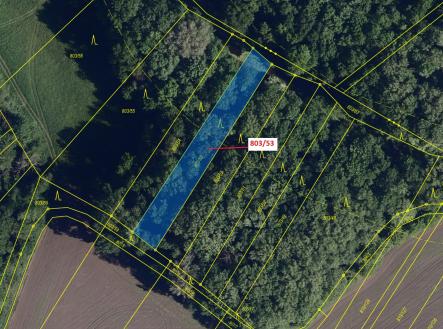 Prodej pozemku, les, 1 135 m²