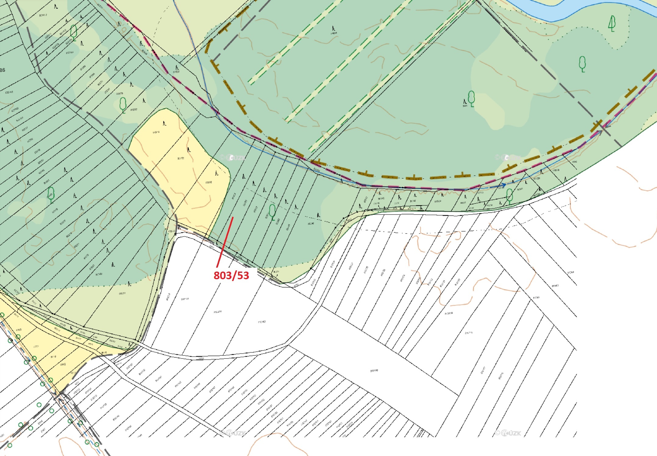 Lesní pozemky o výměře 1135 m2, podíl 1/1, katastrální území Přísnotice, obec Přísnotice, obec s roz
