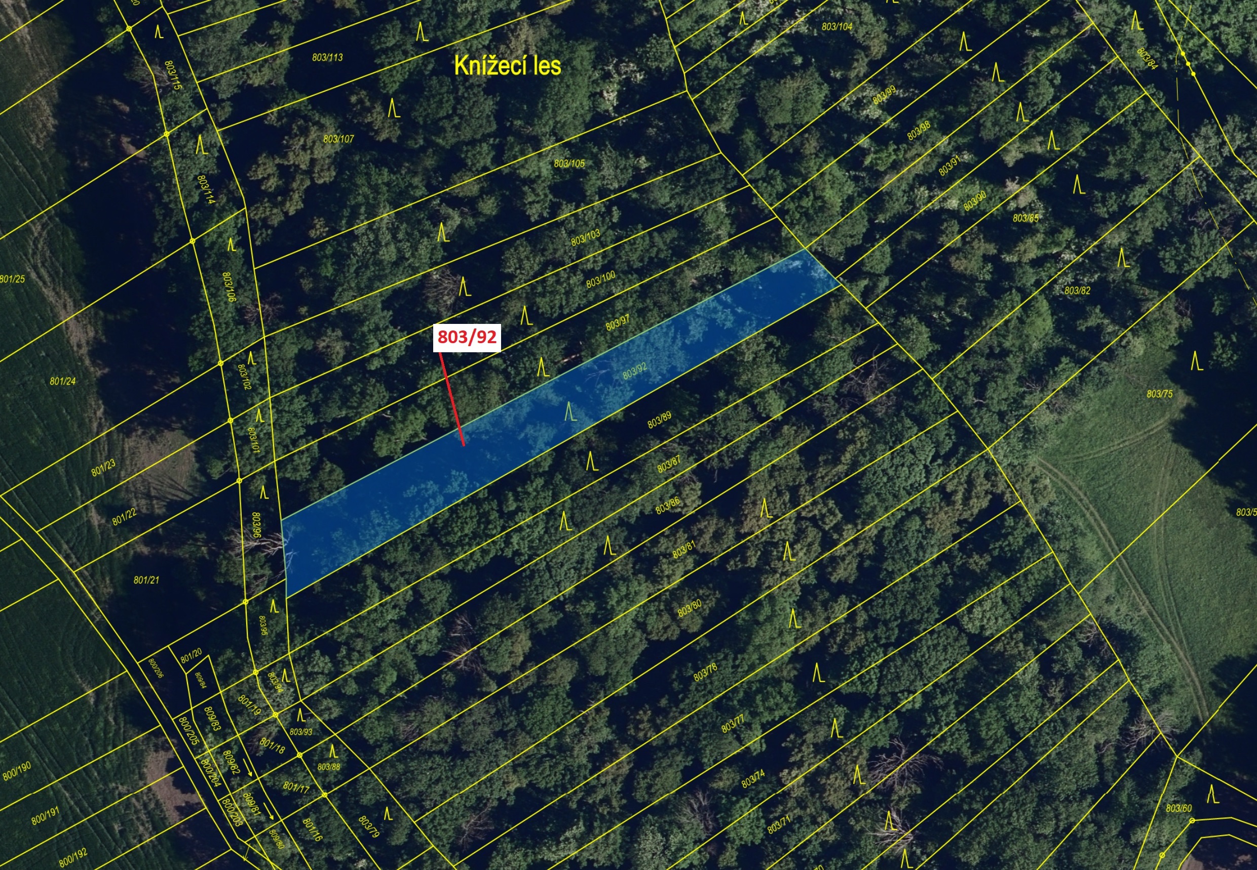 Lesní pozemky o výměře 1778 m2, podíl 1/1, katastrální území Přísnotice, obec Přísnotice, obec s roz