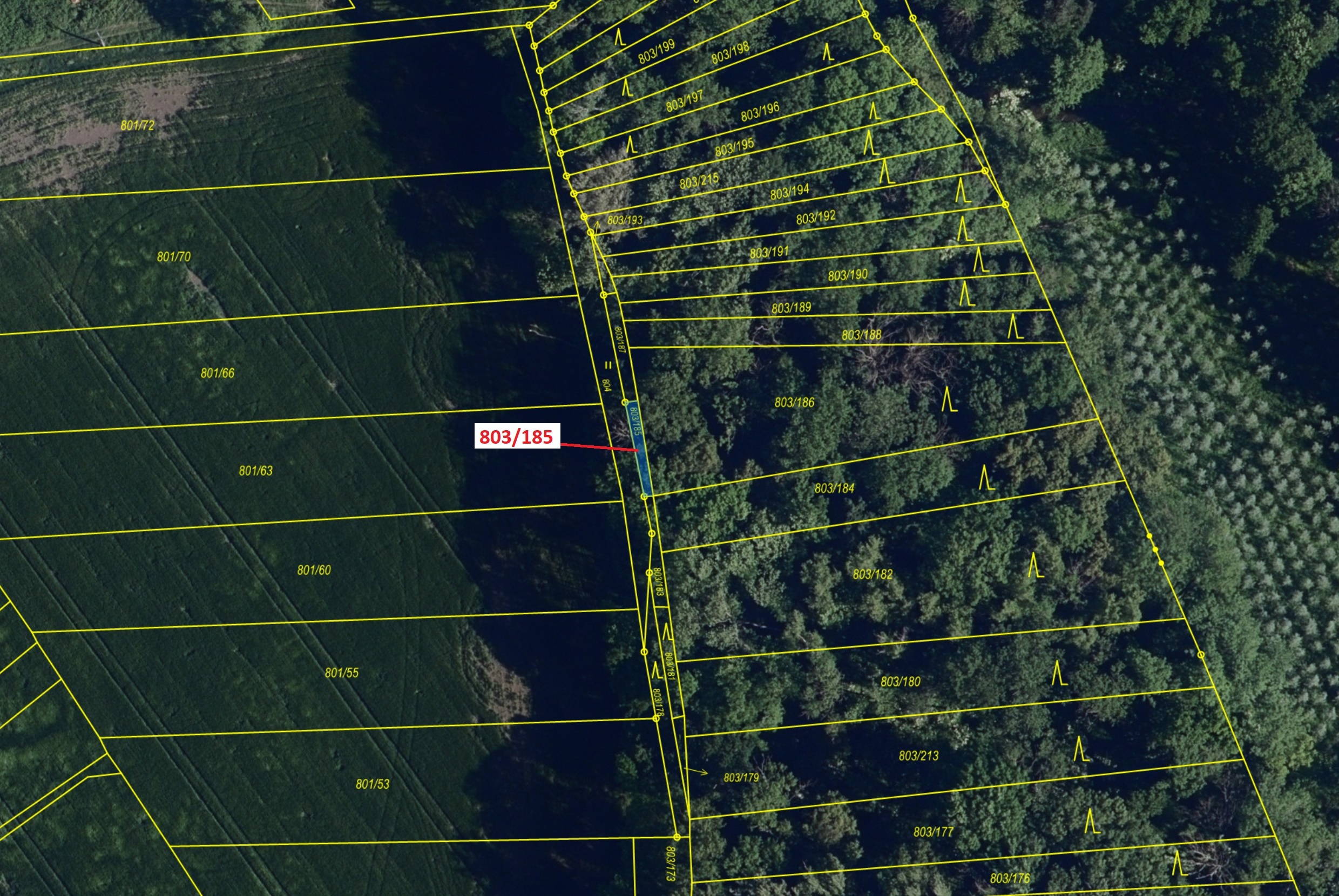 Lesní pozemky o výměře 31 m2, podíl 1/1, katastrální území Přísnotice, obec Přísnotice, obec s rozší