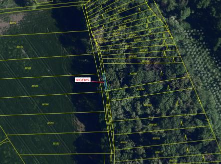 Prodej pozemku, les, 31 m²