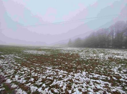 Prodej pozemku, zemědělská půda, 2 398 m²