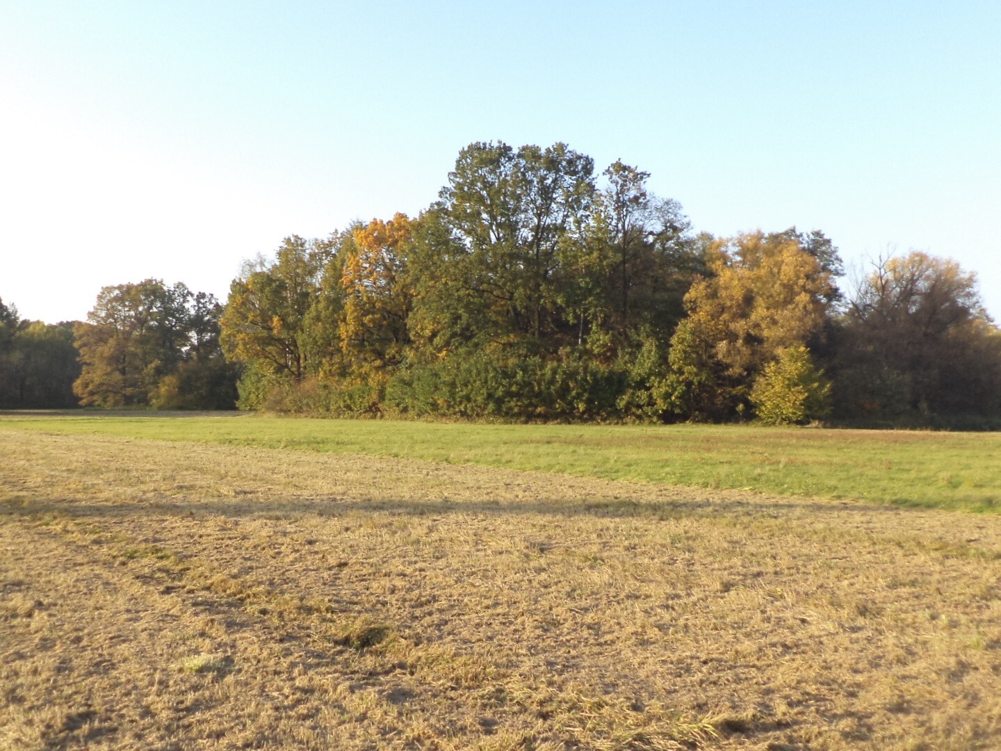 Pozemek o velikosti 6981m2,  Dolní Marklovice