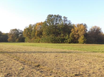 Prodej pozemku, trvalý travní porost, 6 981 m²