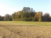 Prodej pozemku, trvalý travní porost, 6 981 m²