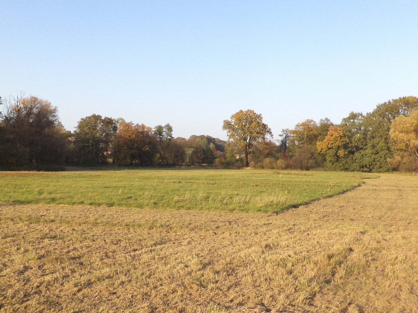 Pozemek o velikosti 6981m2,  Dolní Marklovice