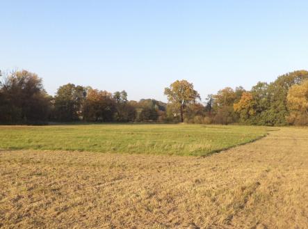 Prodej pozemku, trvalý travní porost, 6 981 m²