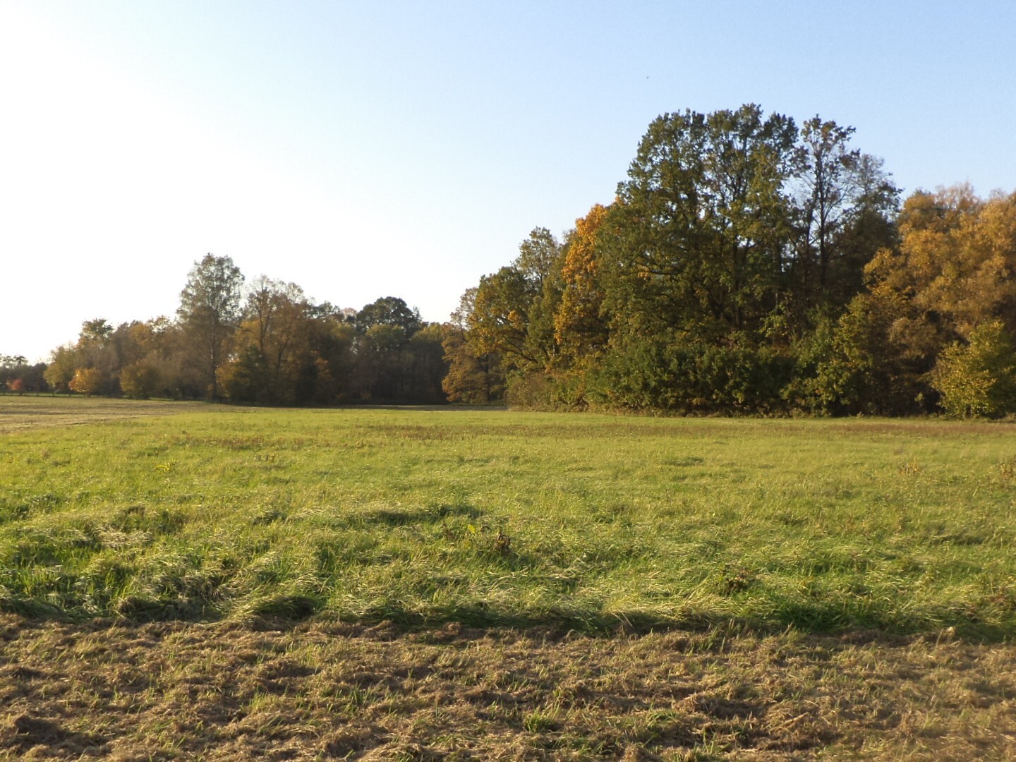 Pozemek o velikosti 6981m2,  Dolní Marklovice